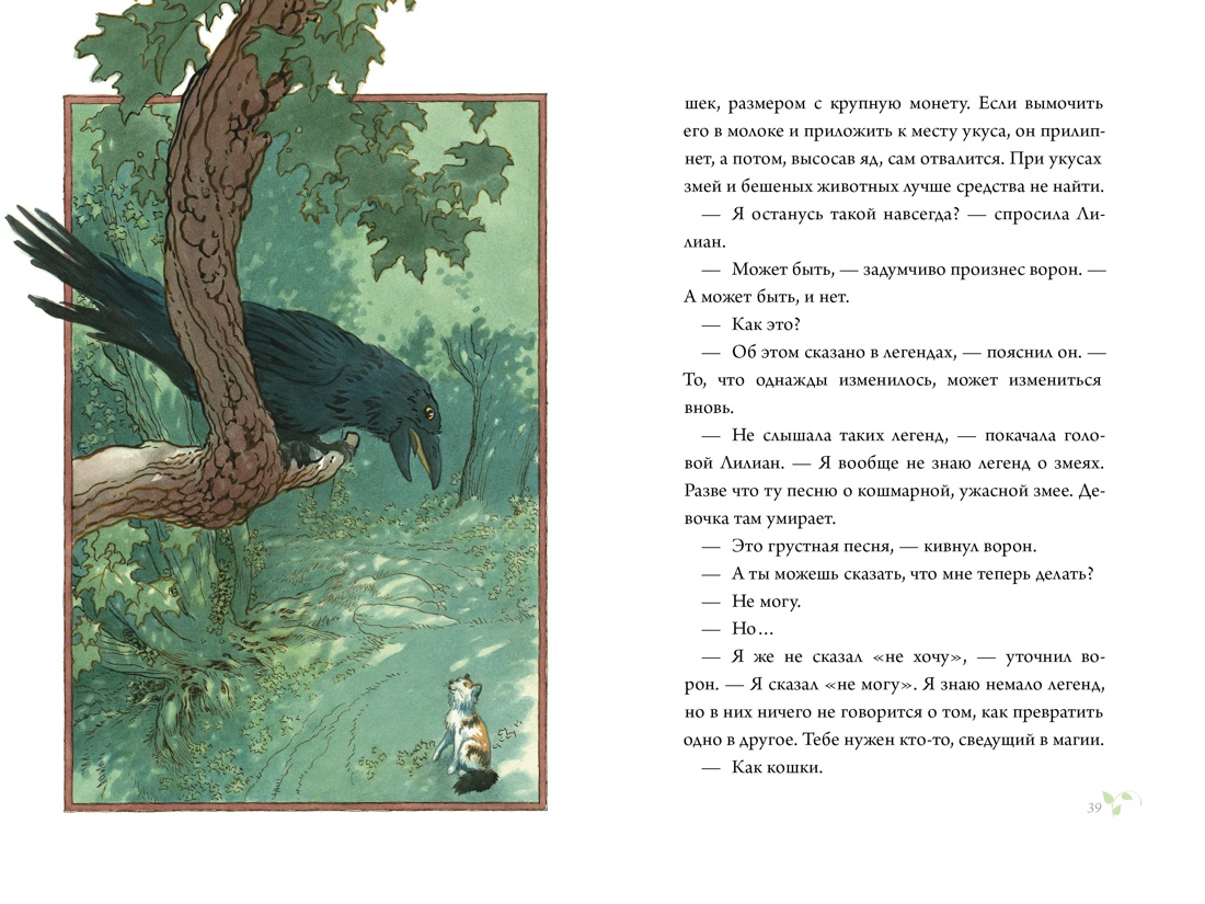 Кошки Дремучего леса, Отрывок из книги