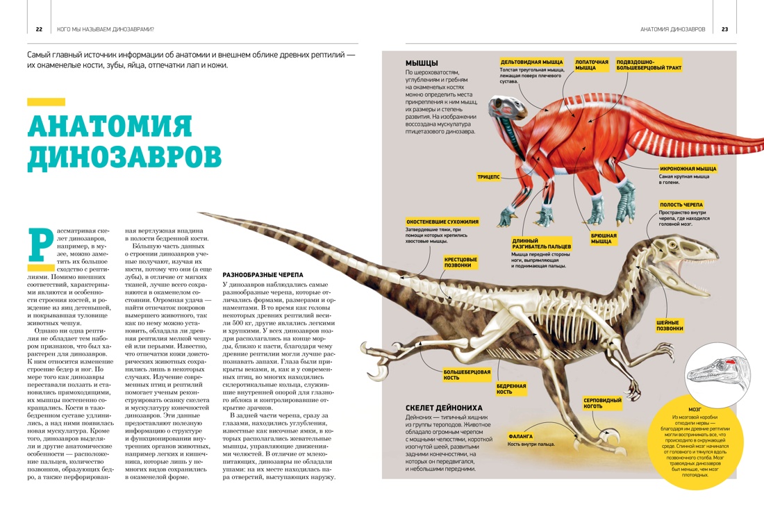 Гигантская энциклопедия динозавров, Отрывок из книги