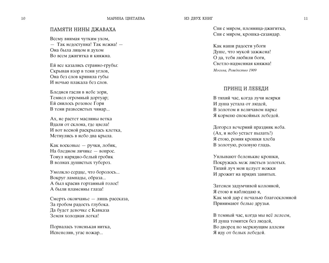 Стихотворения и поэмы, Отрывок из книги