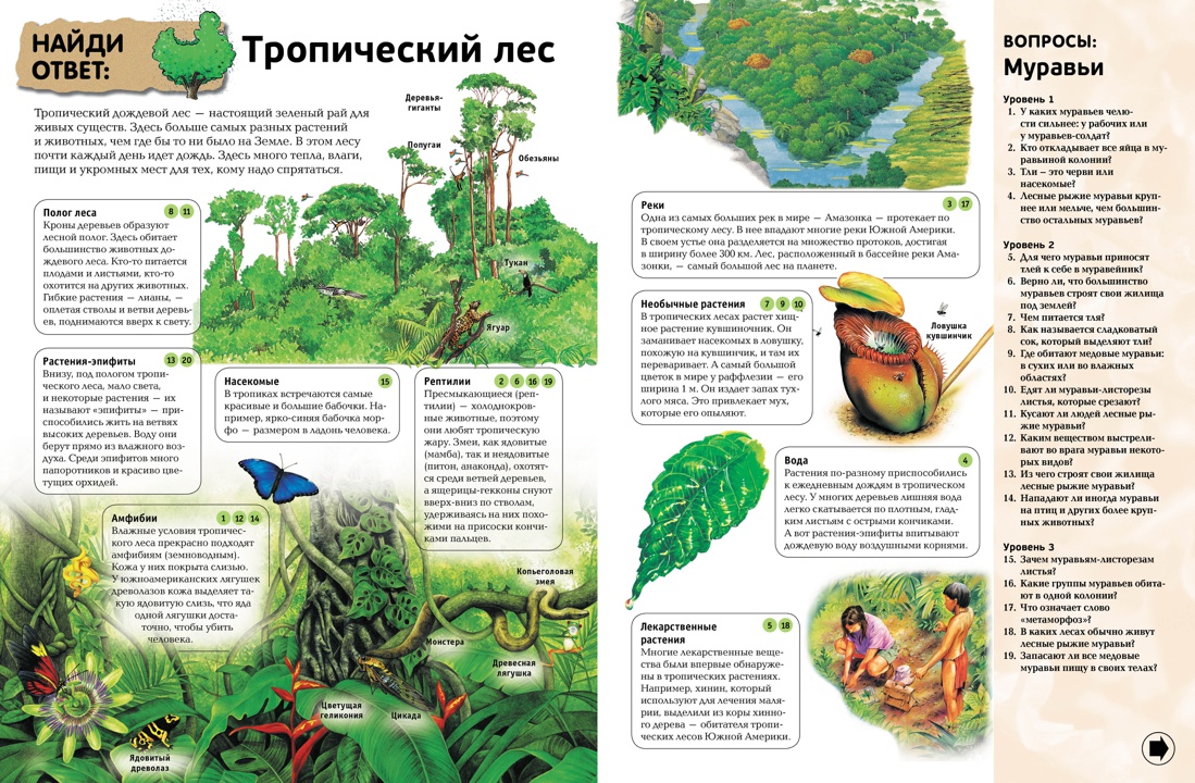 Интерактивная энциклопедия в вопросах и ответах, Отрывок из книги