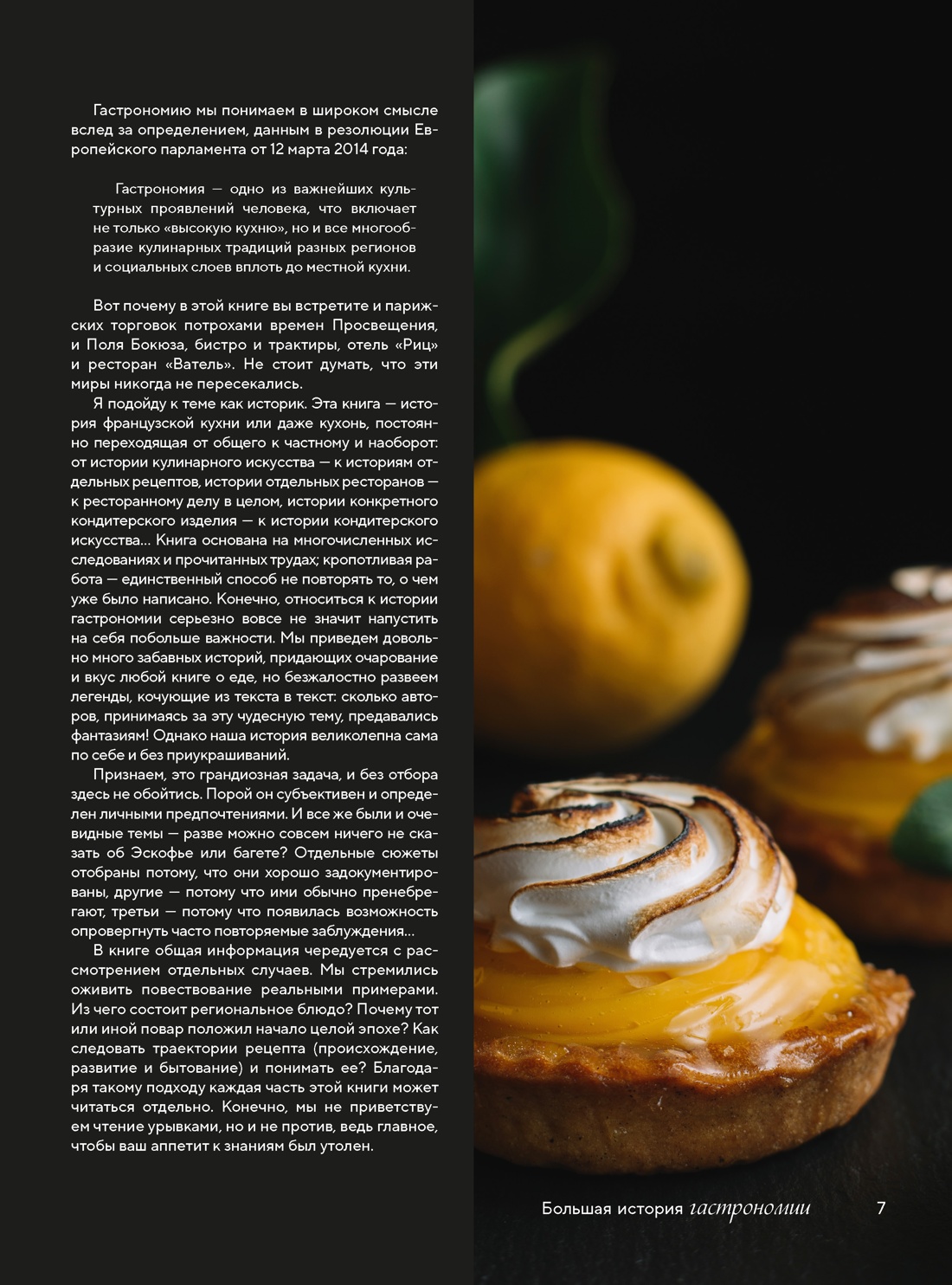 Большая история гастрономии. Кулинарное искусство Франции: от Средневековья до Новейшего времени, Отрывок из книги
