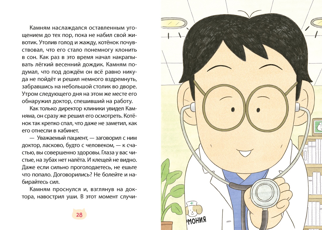 Доктор Камням, Отрывок из книги