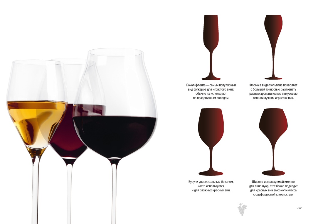 Маленькая книга гурмана. Вино, Отрывок из книги