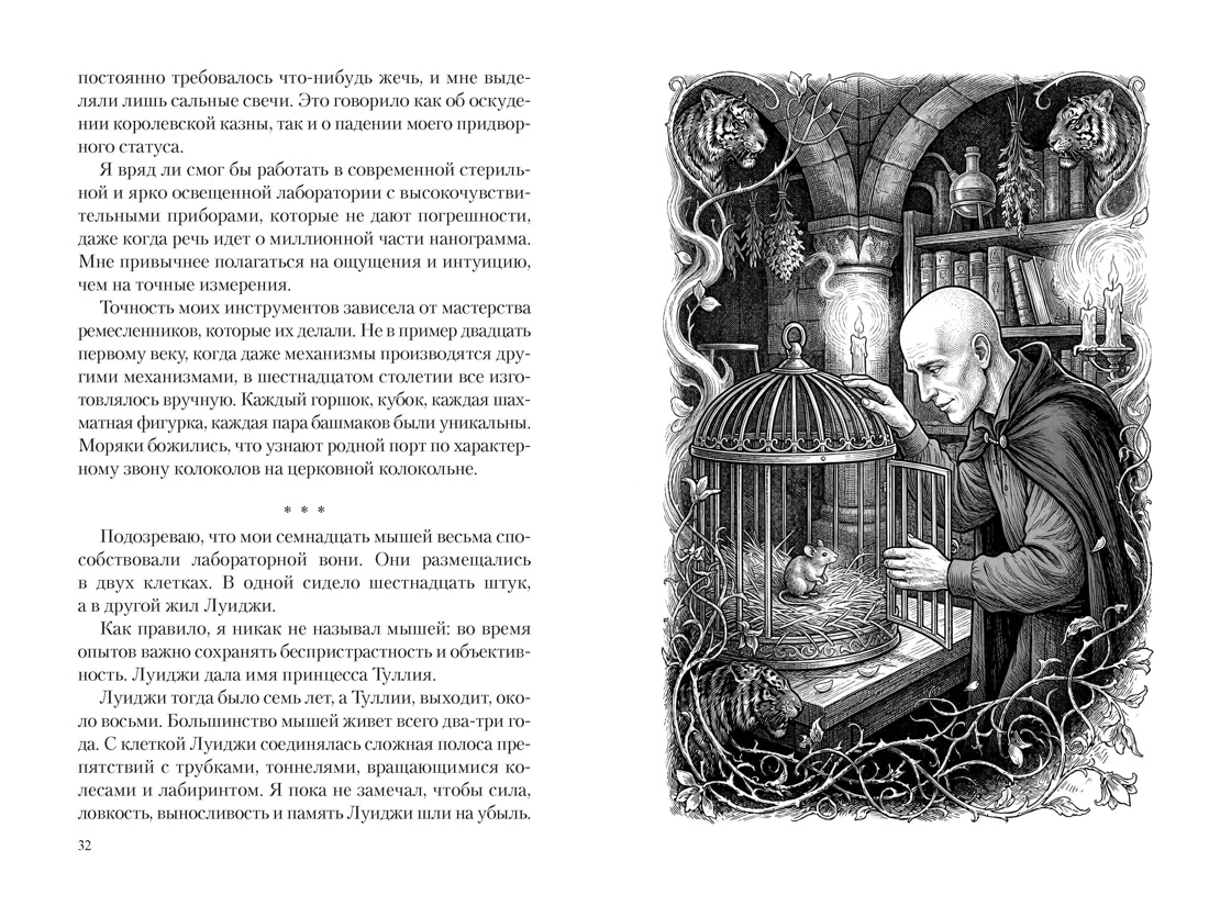 Маг Тигриного замка (с илл.), Отрывок из книги