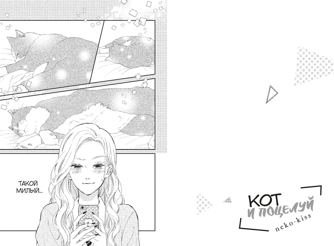 Кот и поцелуй. Том 2, Отрывок из книги