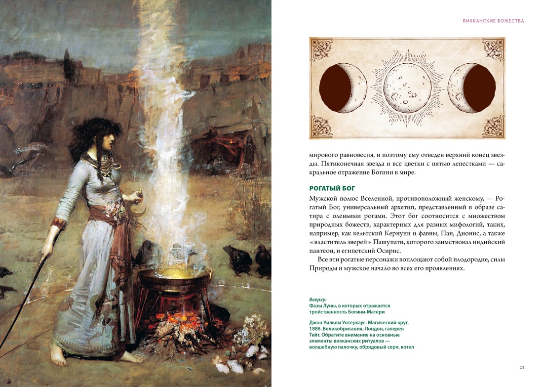 Комплект «Магические животные / магические растения», Отрывок из книги