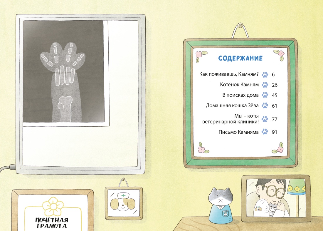 Доктор Камням, Мин Джон Хон 