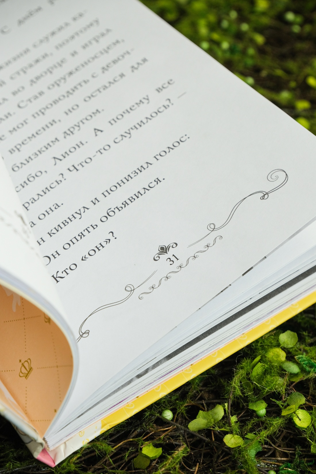 Апельсиновая кошка, Отрывок из книги