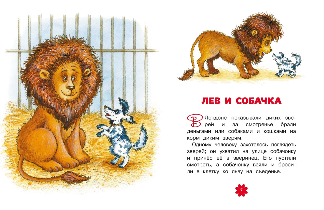 Рассказы и сказки, Отрывок из книги