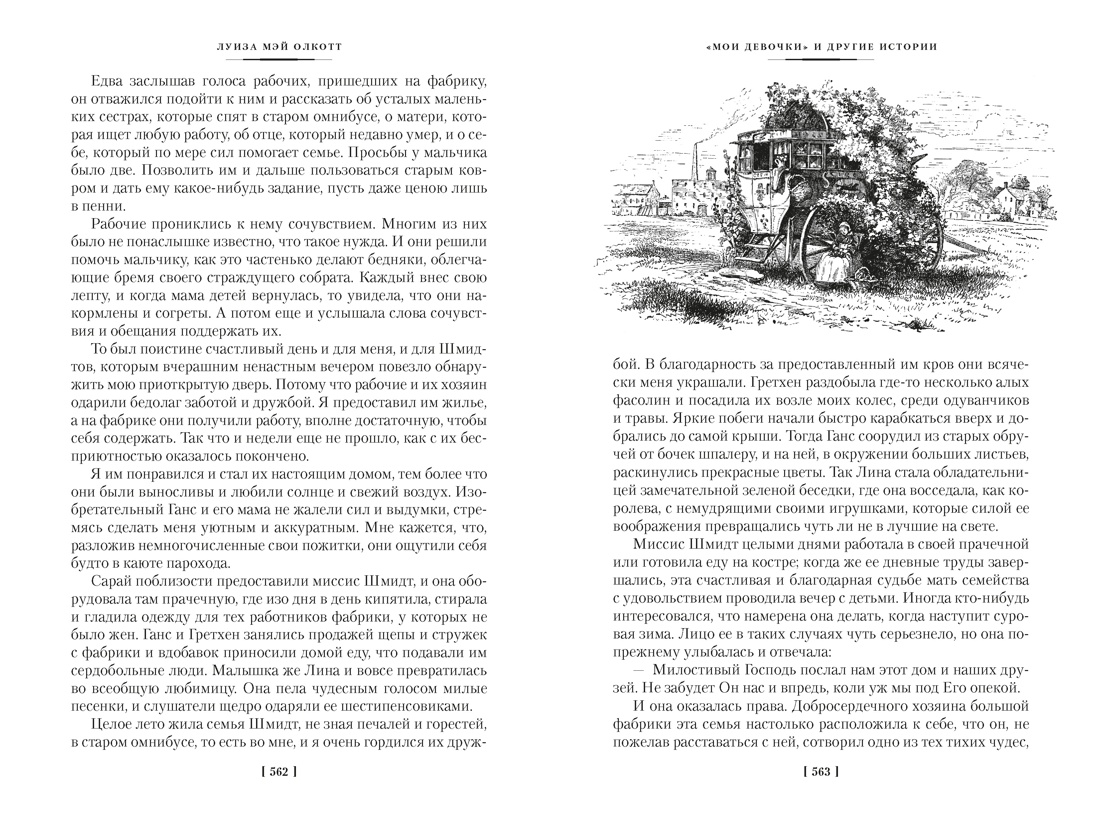 Лоскутный мешочек тетушки Джо, Отрывок из книги