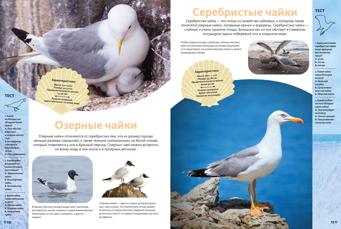 Животные морей и океанов. Большая школьная энциклопедия, Отрывок из книги