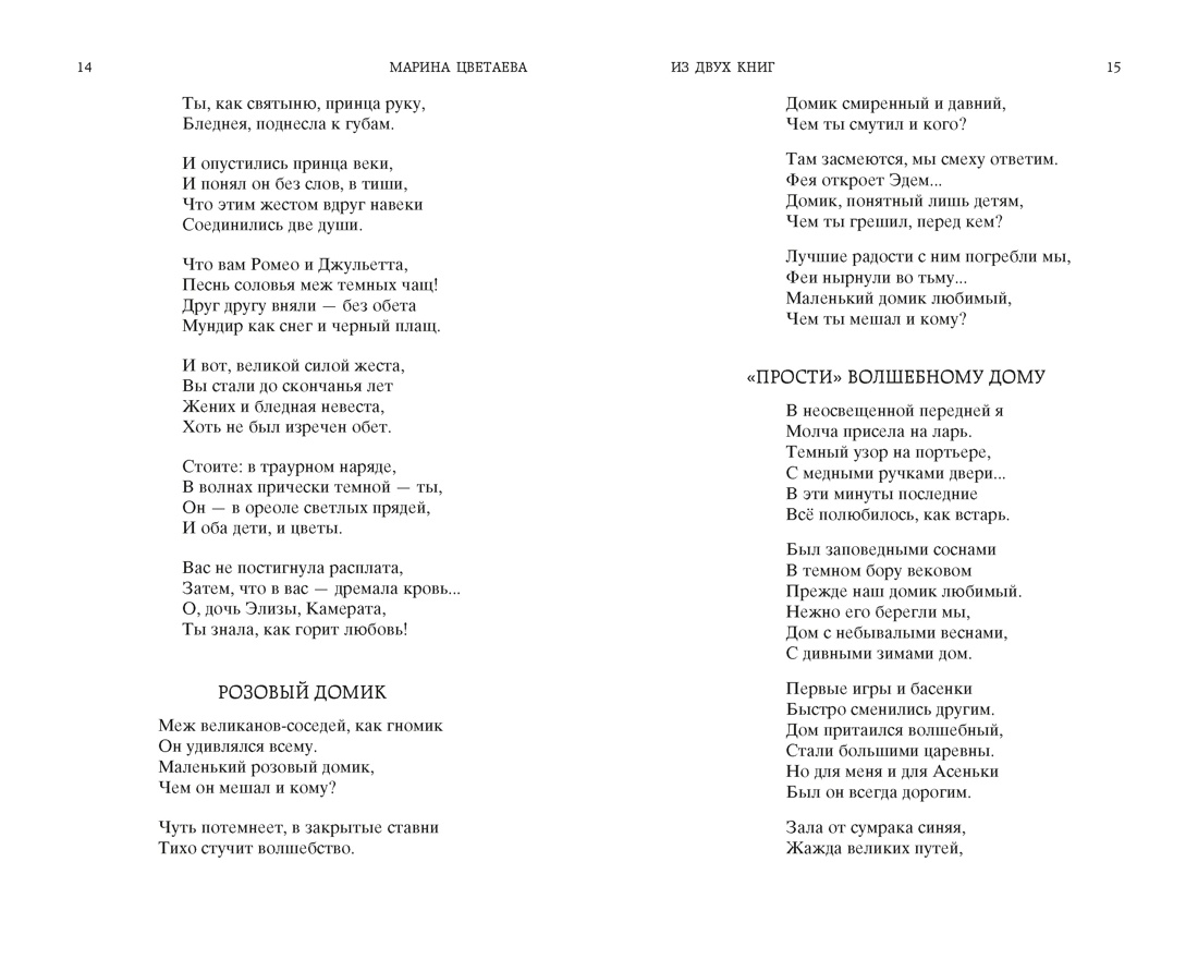 Стихотворения и поэмы, Отрывок из книги