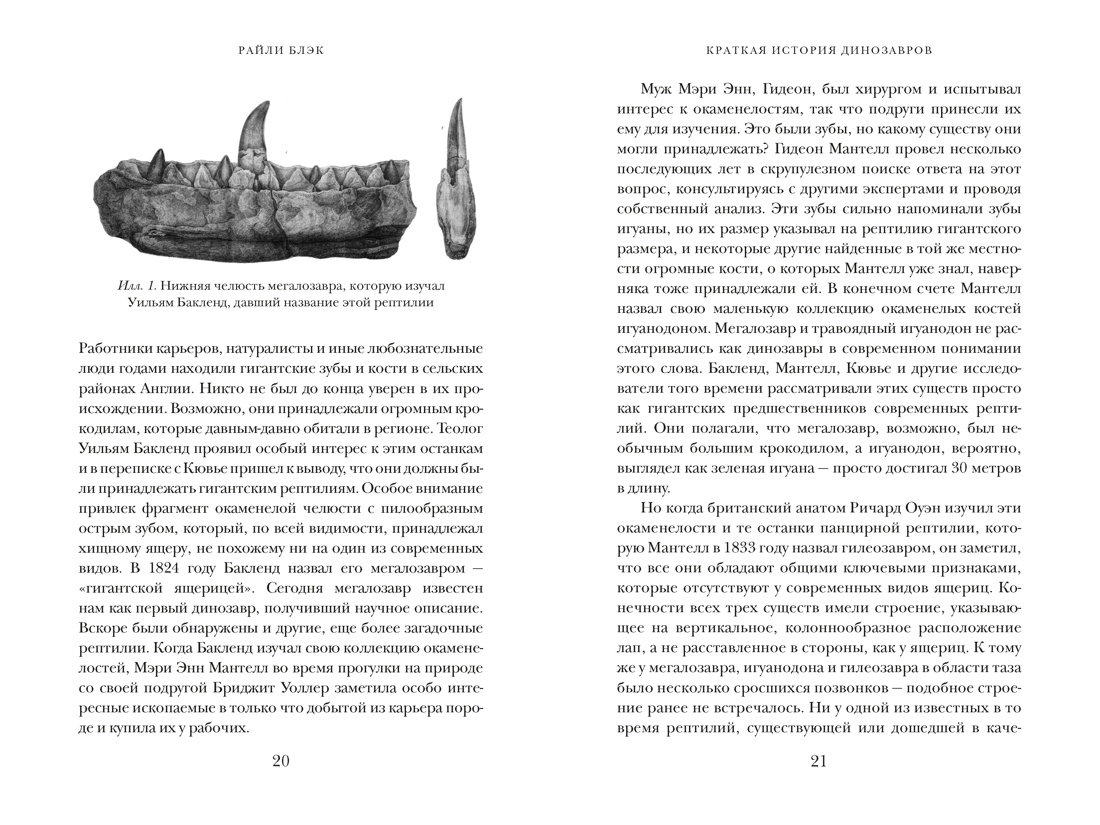 Перья, кровь и миллионы лет: Полная история динозавров, Отрывок из книги