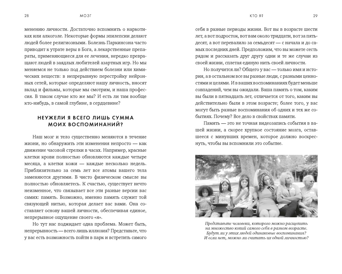 Мозг: Ваша личная история, Отрывок из книги