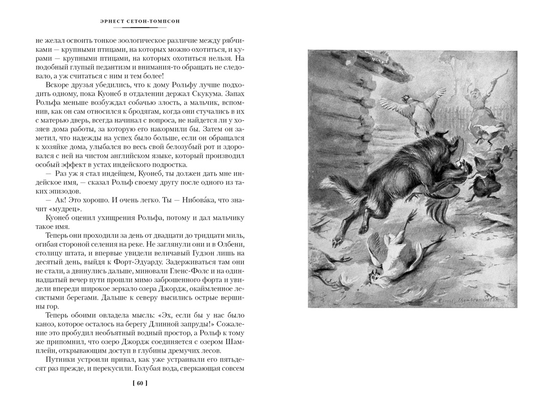 Рольф в лесах. Лесные рассказы, Отрывок из книги
