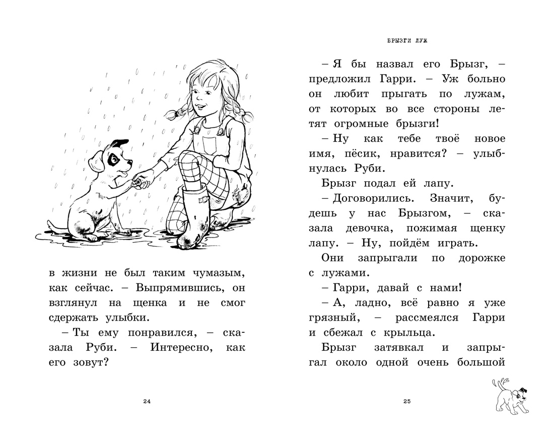 Загадай желание!, Отрывок из книги
