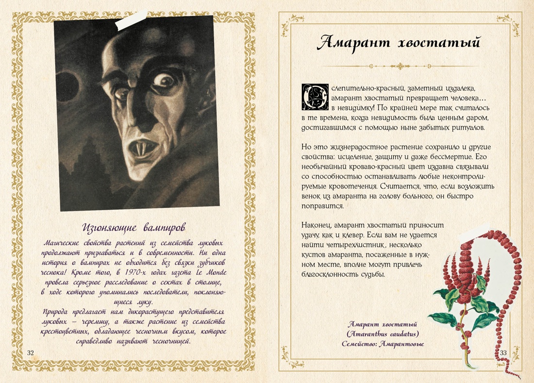 Маленький гримуар ведьмы. Зелья и волшебные травы, Отрывок из книги
