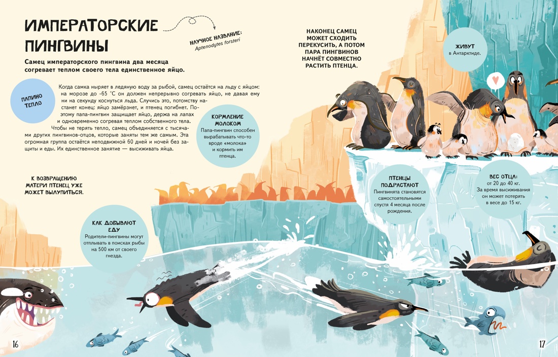 Семья в мире животных. Любовь, забота и воспитание в дикой природе, Отрывок из книги