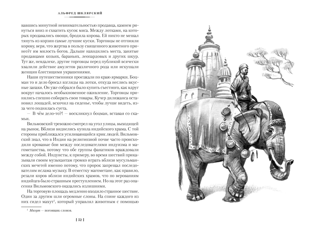 «Томек ищет снежного человека» и другие удивительные приключения, Отрывок из книги