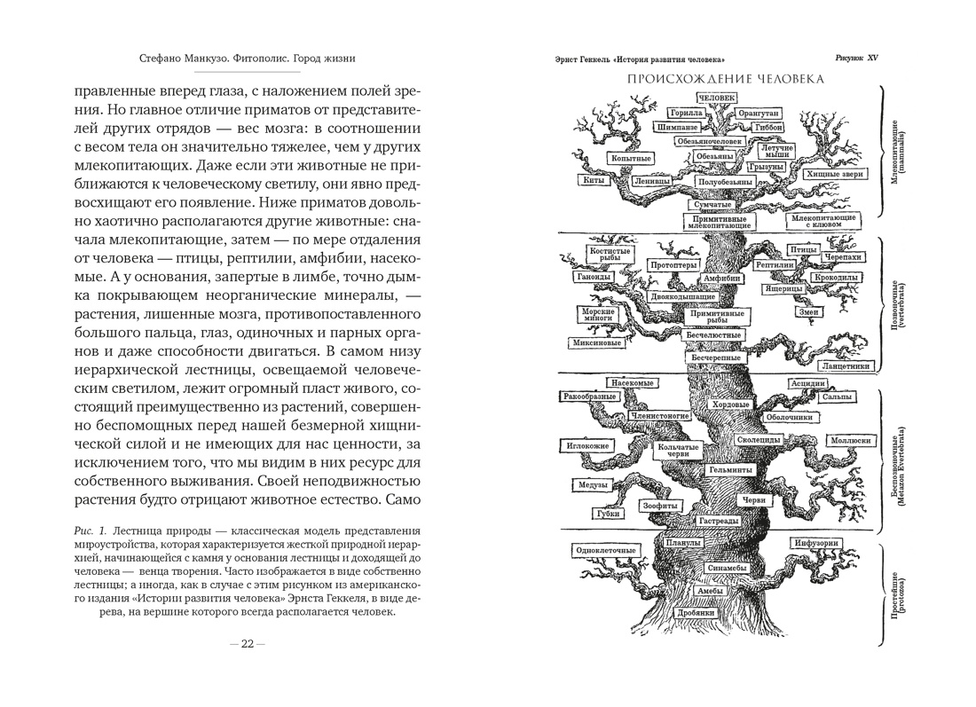 Фитополис. Город жизни, Отрывок из книги