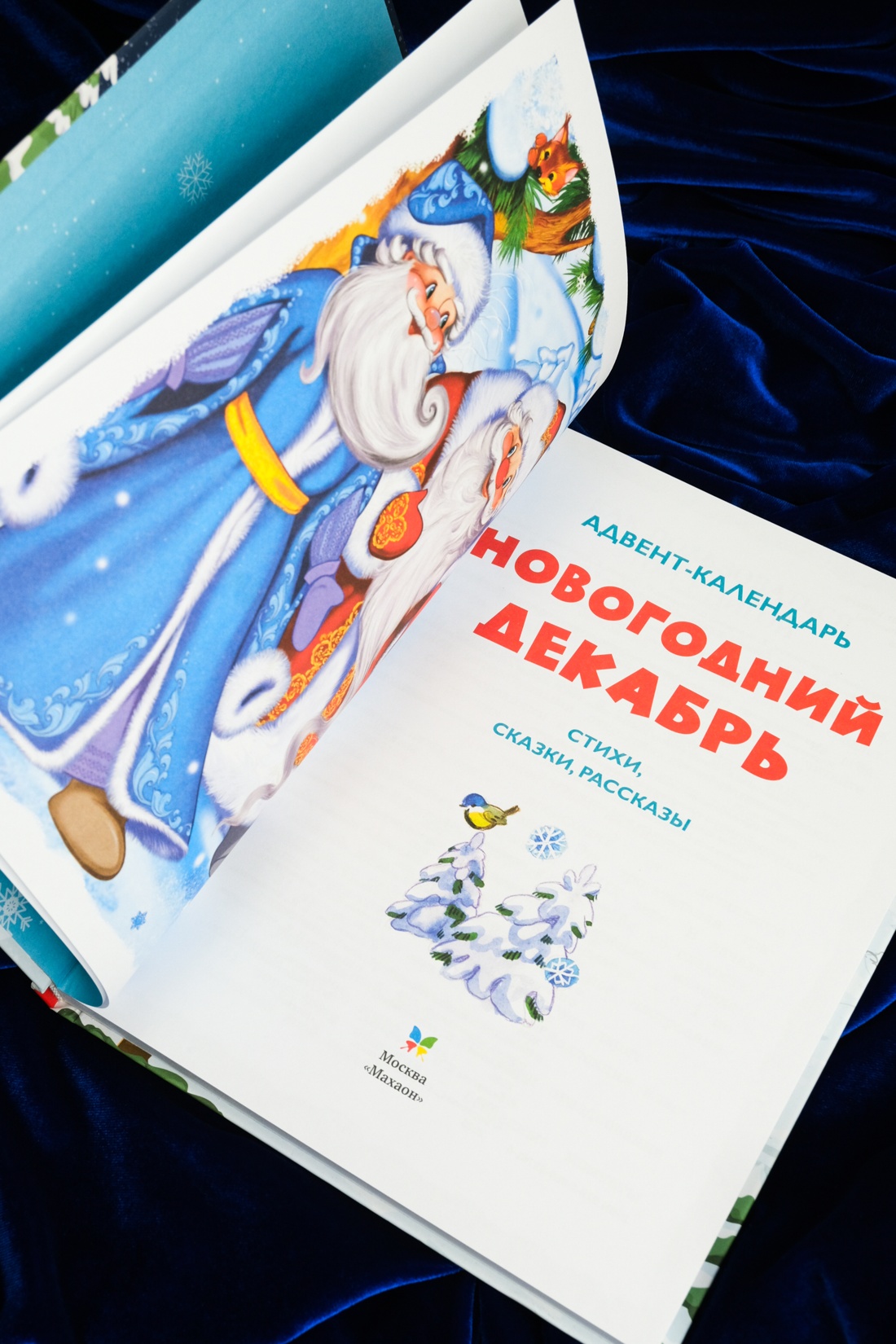 Адвент-календарь. Новогодний декабрь. Стихи, сказки, рассказы, Отрывок из книги