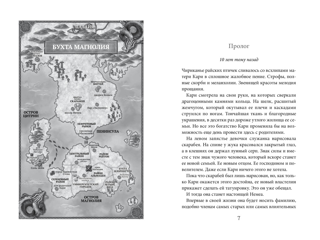 Бухта Магнолия. Магия, чистая и злая, К. Ф. Шредер