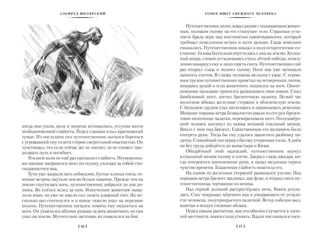 «Томек ищет снежного человека» и другие удивительные приключения, Отрывок из книги