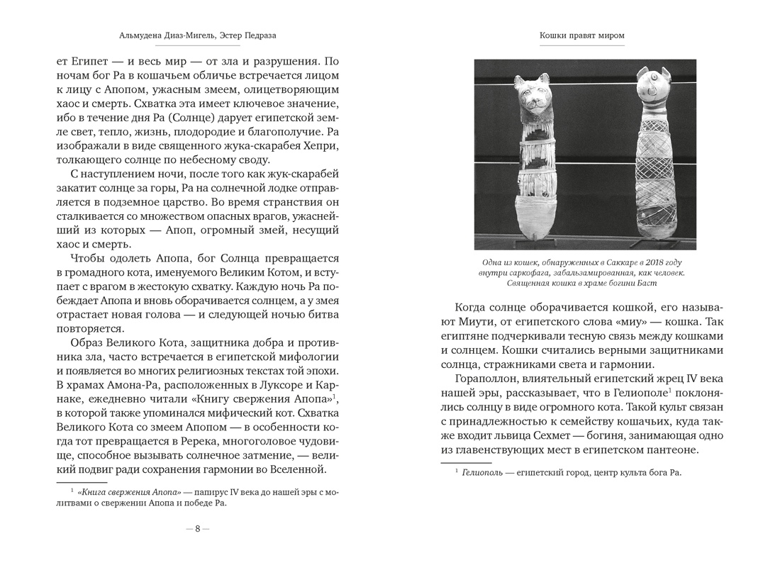 Кошки правят миром, Отрывок из книги