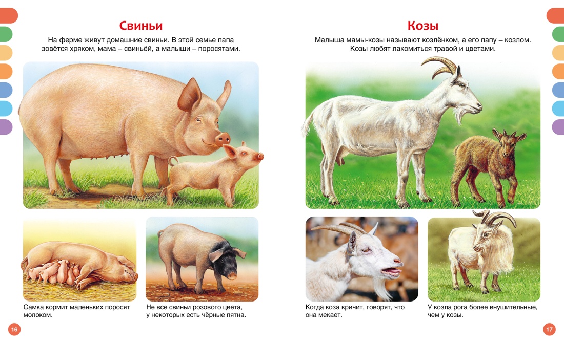Животные разных стран, Отрывок из книги