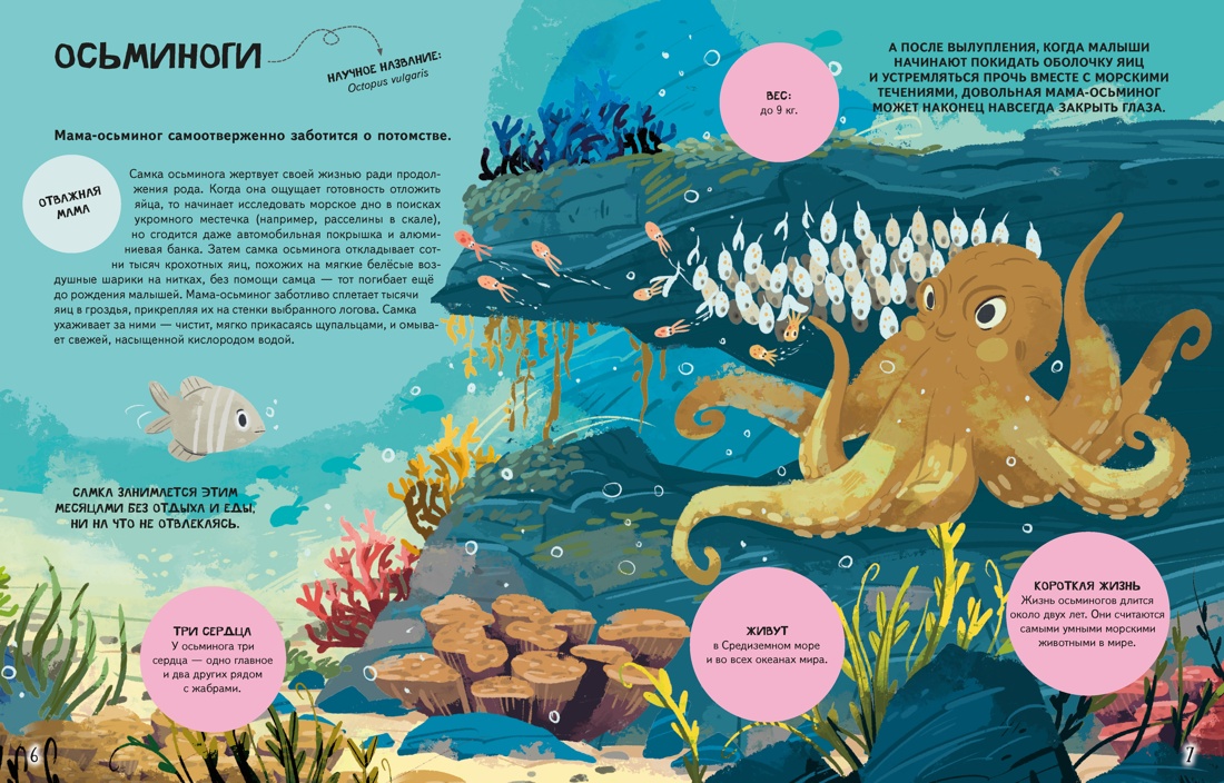 Семья в мире животных. Любовь, забота и воспитание в дикой природе, Доменико Текноченци