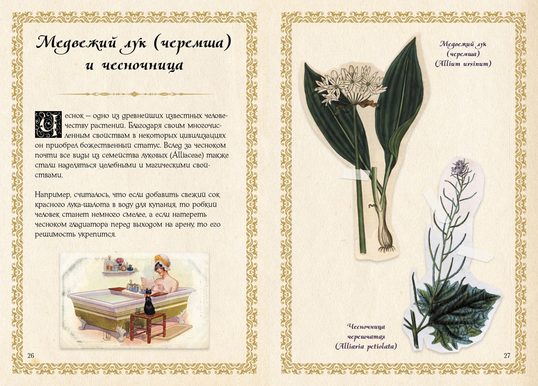 Маленький гримуар ведьмы. Зелья и волшебные травы, Отрывок из книги