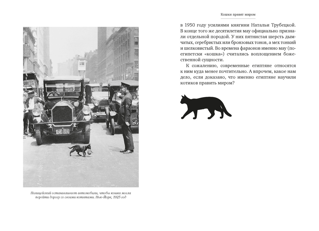 Кошки правят миром, Отрывок из книги