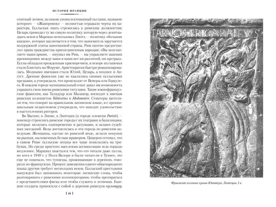 История Франции, Отрывок из книги