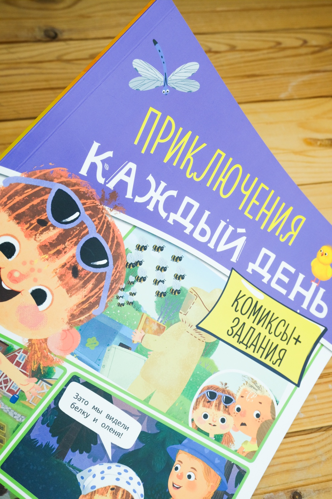 Ася и Вася. Приключения каждый день, Отрывок из книги