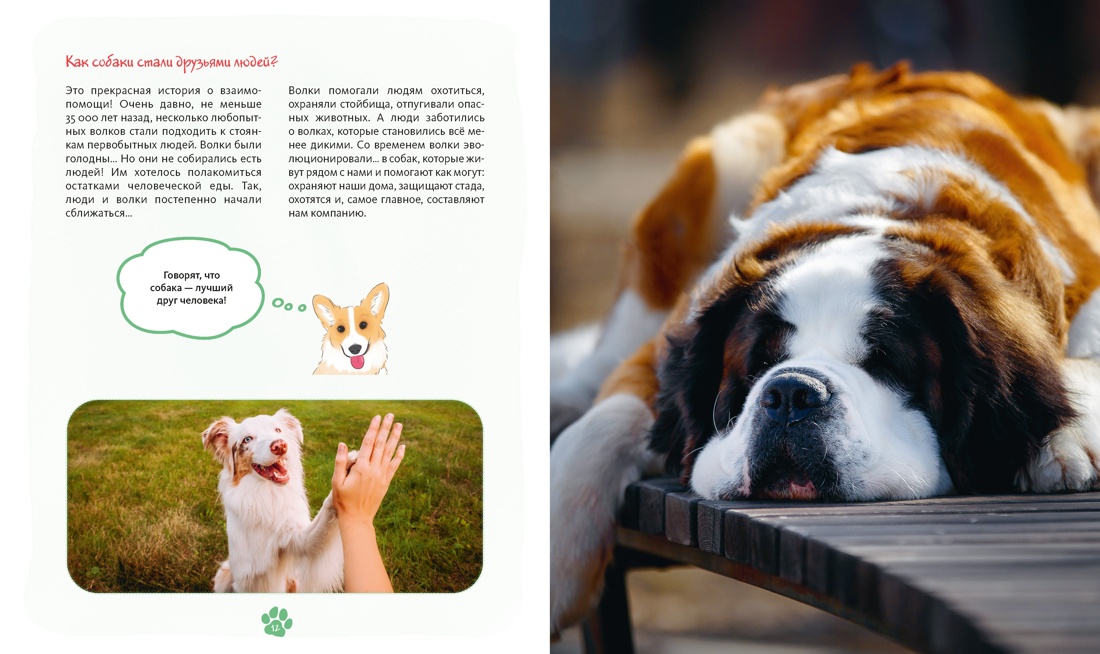 Я и моя собака. Как понять питомца и стать ему другом, Отрывок из книги