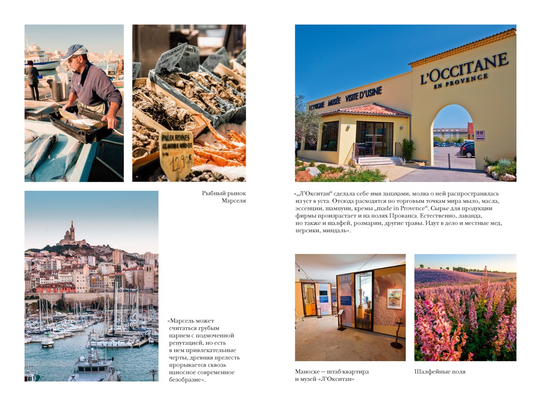 «Год в Провансе» и другие книги, Отрывок из книги