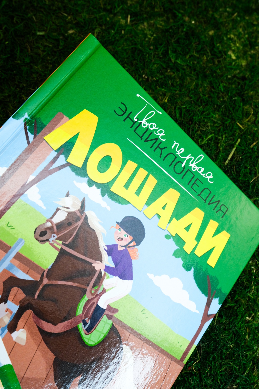 Лошади, Отрывок из книги