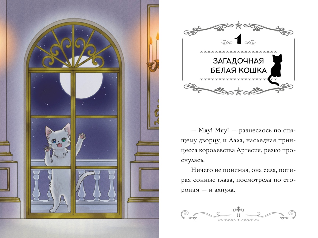 Апельсиновая кошка, Отрывок из книги