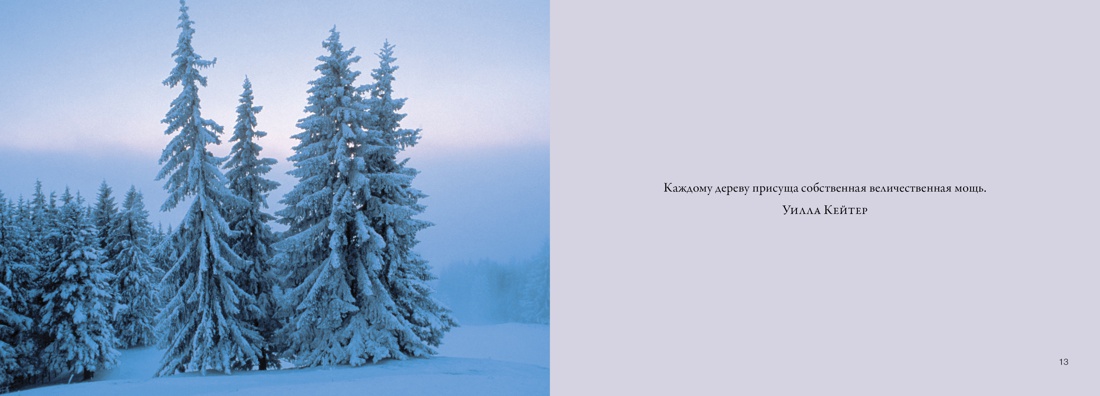 Деревья. Красота и гармония, Отрывок из книги