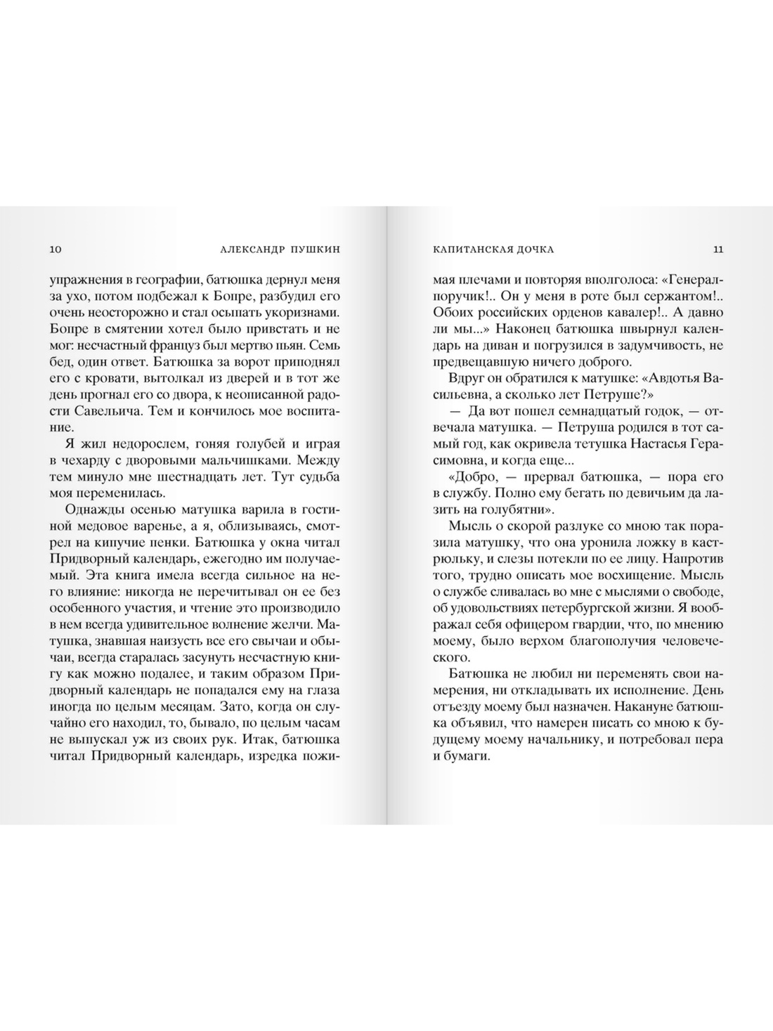 Кастомбук. Капитанская дочка (со стикерами), Отрывок из книги