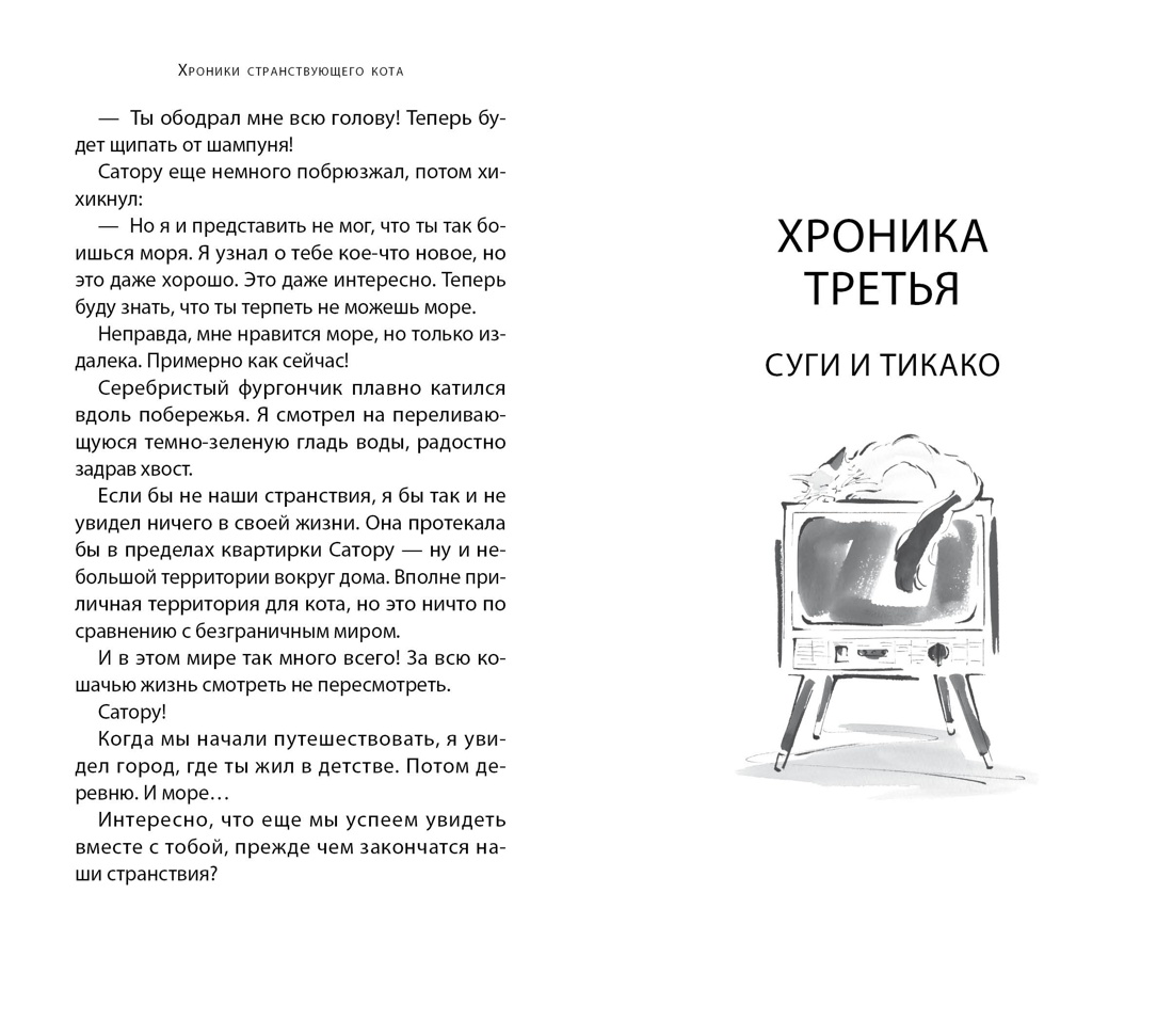 Хроники странствующего кота, Отрывок из книги