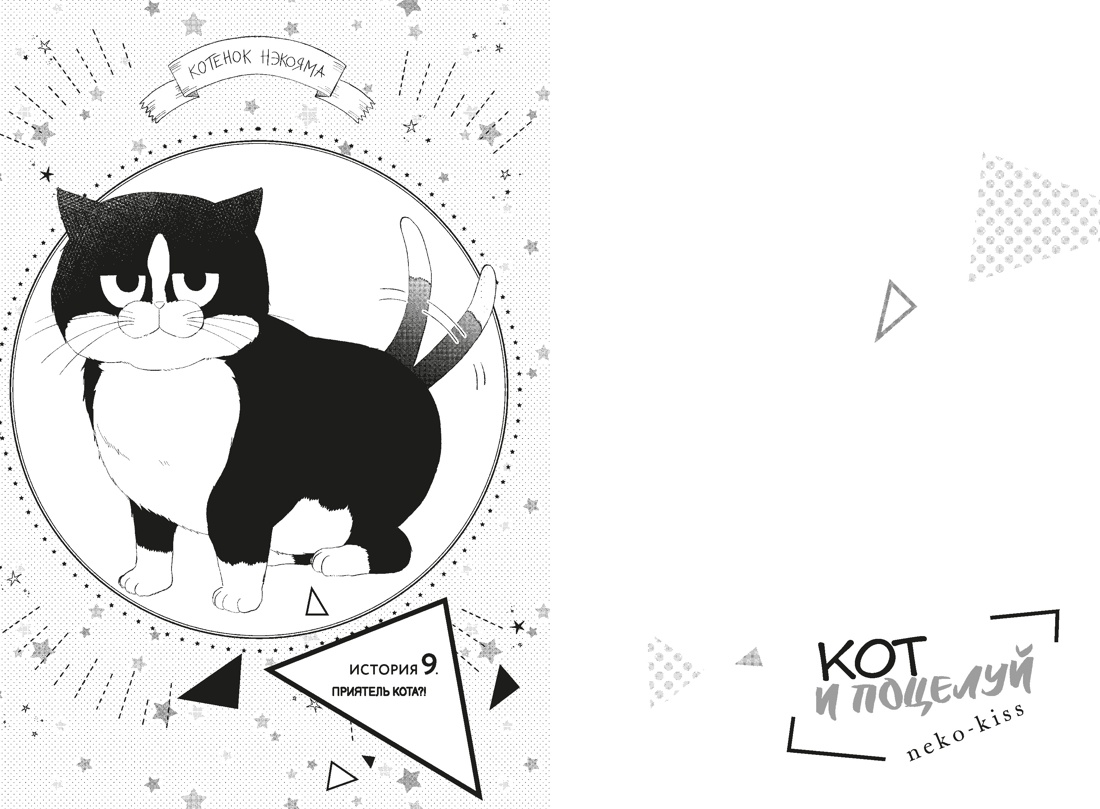 Кот и поцелуй. Том 3, Отрывок из книги