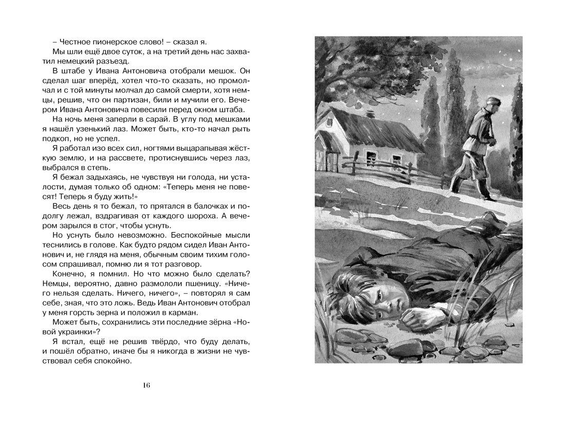 Батальон Бориса Ивановича (илл), Отрывок из книги