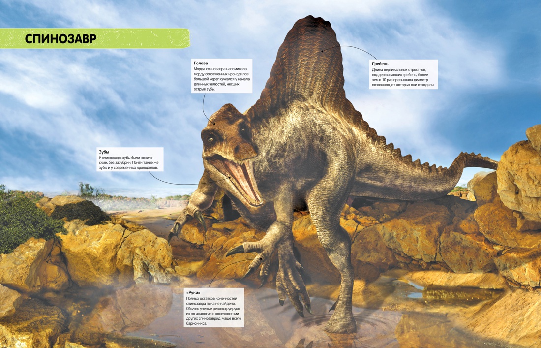 Динозавры и их картинки и названия