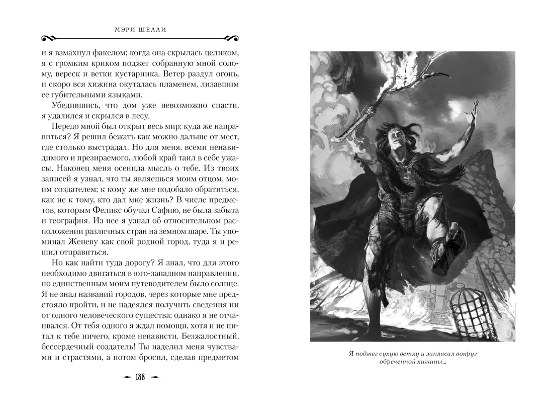 Франкенштейн, Отрывок из книги