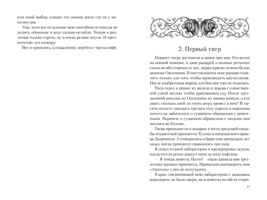 Маг Тигриного замка (с илл.), Отрывок из книги
