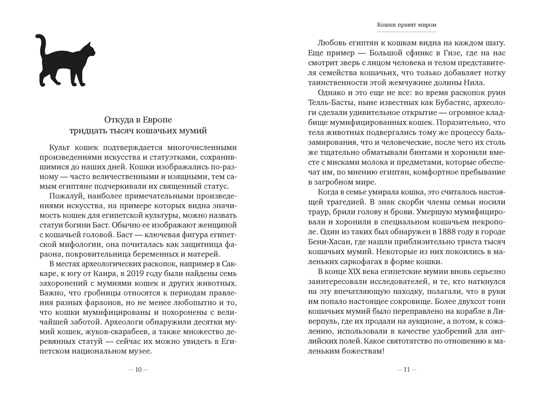 Кошки правят миром, Отрывок из книги