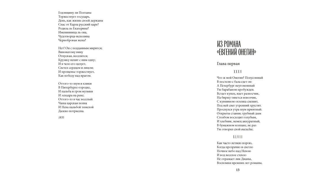 Санкт-Петербург в поэзии и фотографиях, Отрывок из книги