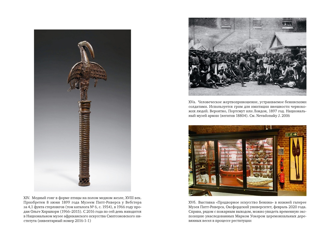 Музеи жестокости: Бенинские бронзы, колониальное насилие и культурная реституция, Отрывок из книги
