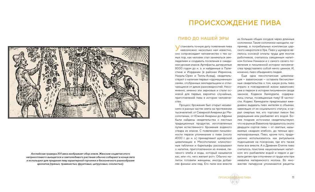 Формула пива. От янтарного зерна до пенной кружки, Отрывок из книги
